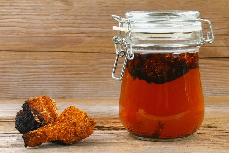 chaga-tee-aufbewahrung Chaga-Tee Aufbewahrung