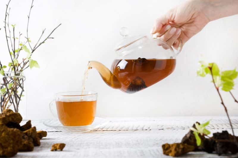 chaga-tee-zubereitung Chaga-Tee Zubereitung