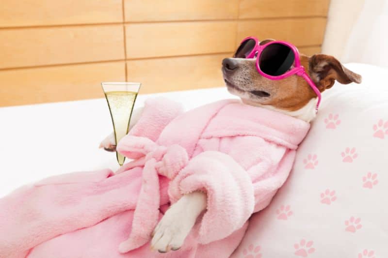 Optimale Abendroutine