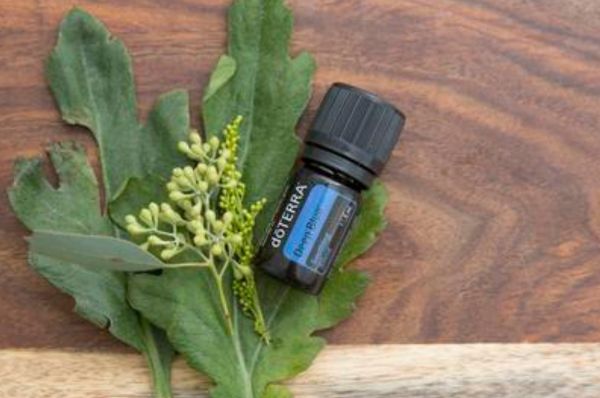 doTERRA Deep Blue™