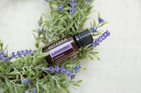 doTERRA™ Lavendel