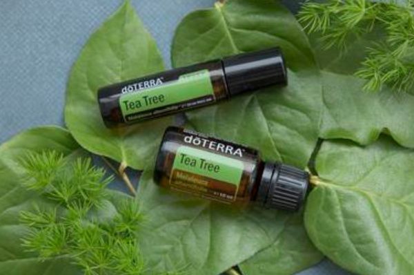 doTERRA™ Teebaum