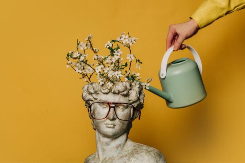 Mindset - Abnehmen beginnt im Kopf